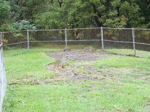 Yard with septic problems
